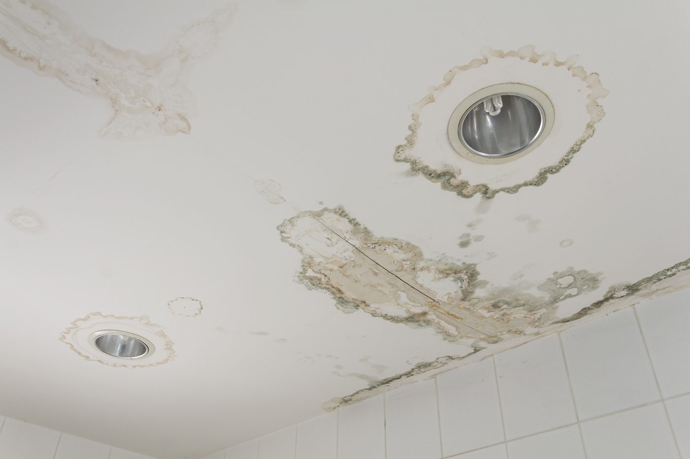 Water-damaged ceiling being assessed for restoration